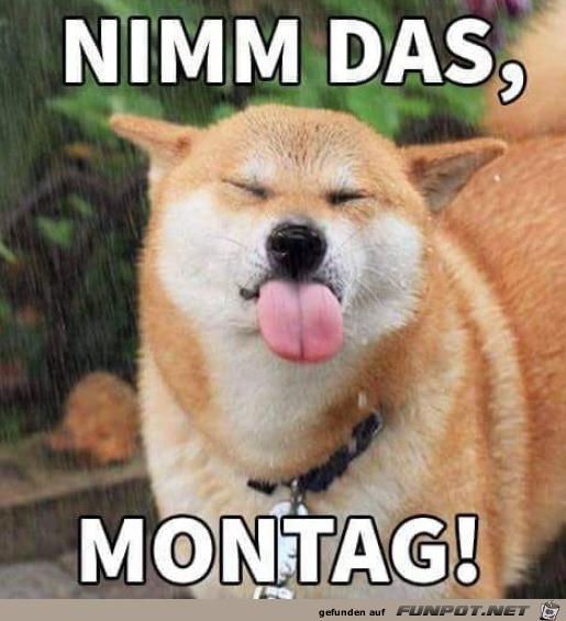 Fr den Montag