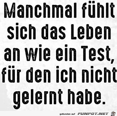 Der Test