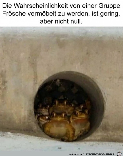 Frosch-Gang