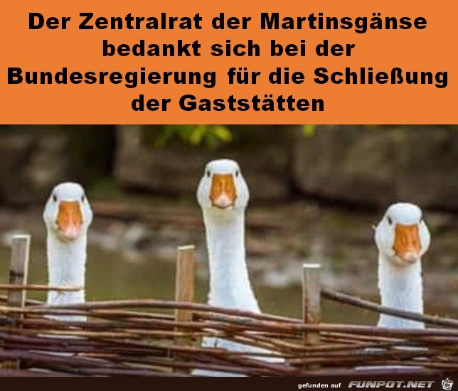 Die Martinsgnse bedanken sich