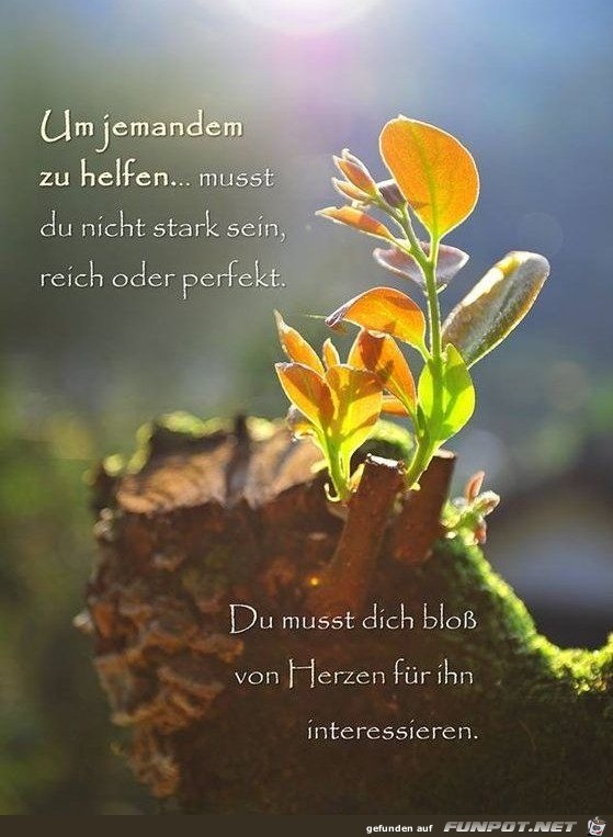 Jemandem helfen Jemandem helfen