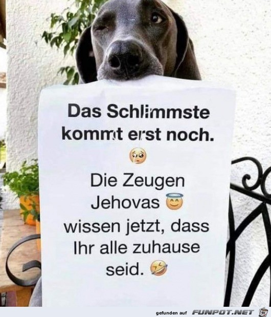 Die Zeugen Jehovas