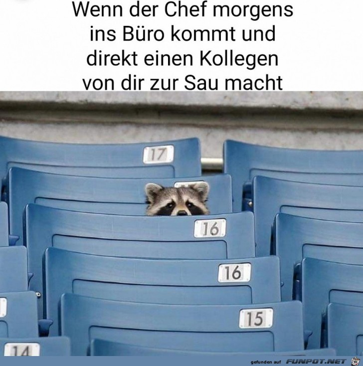 Der Chef hat schlechte Laune