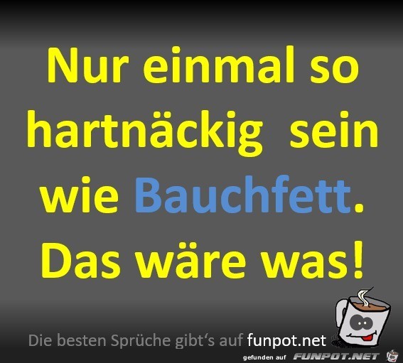 Bauchfett