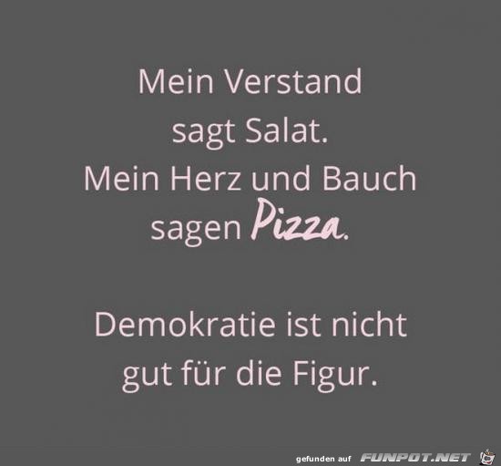 Mein Verstand sagt