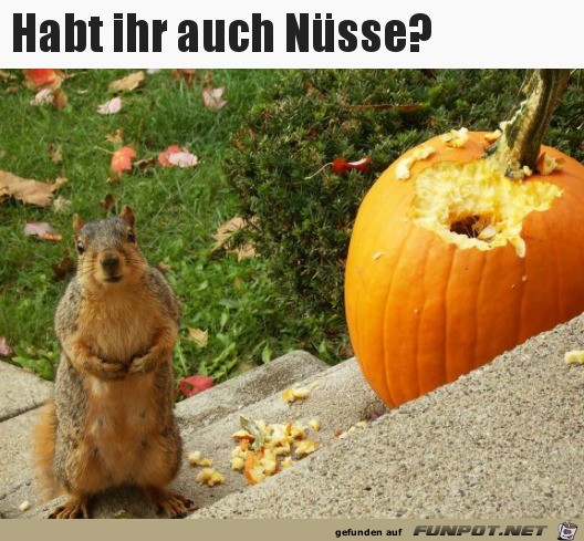 Hast du auch Nsse?