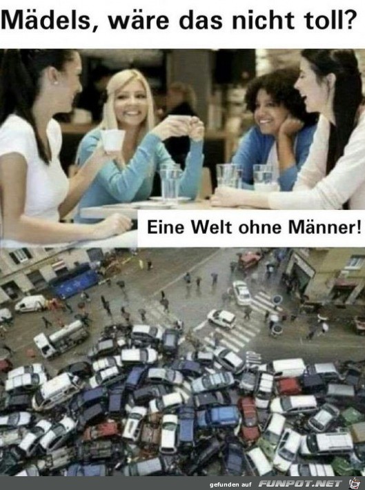 Eine Welt ohne Mnner