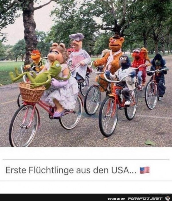 Fluechtlinge