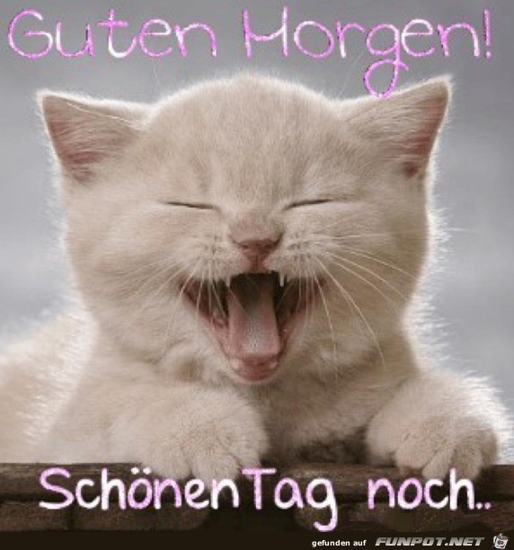 Guten Morgen