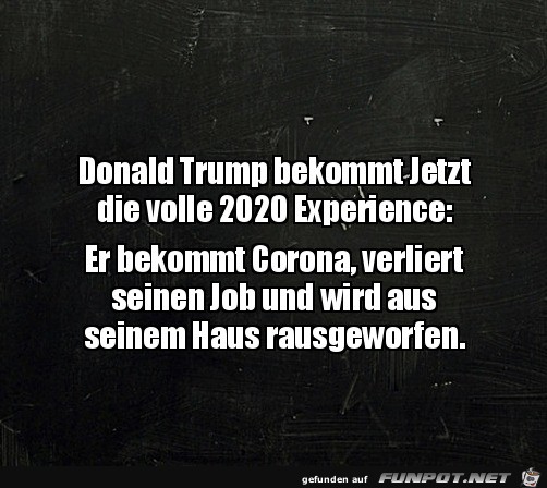 Trump und 2020