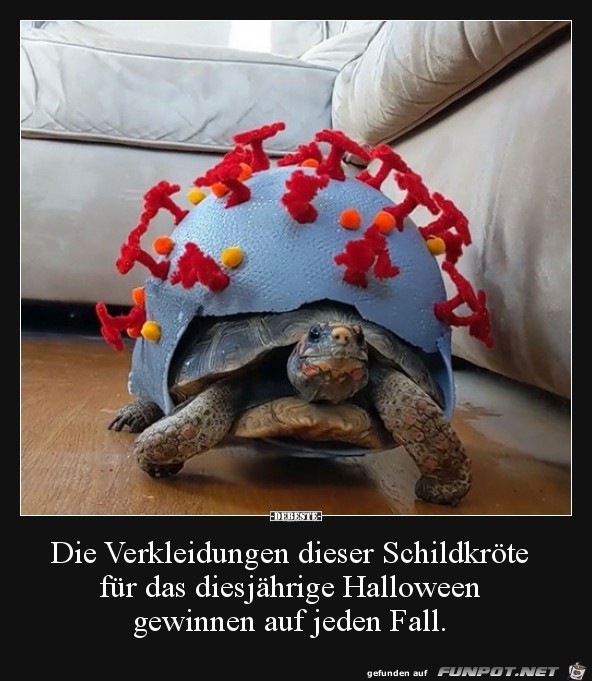 Die arme Schildkroete