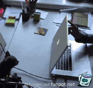 Kätzchen springt auf Laptop