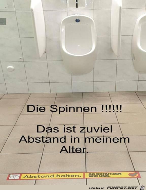 Die spinnen