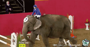 Elefant luft durch jedes Hindernis