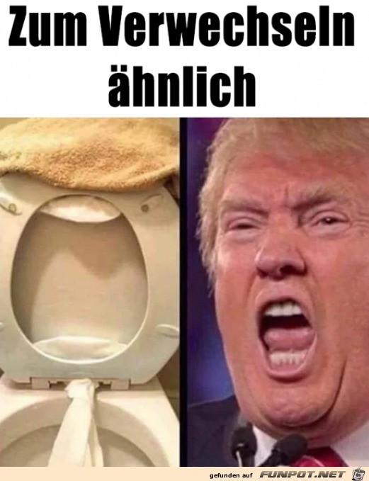 Ziemliche hnlichkeit