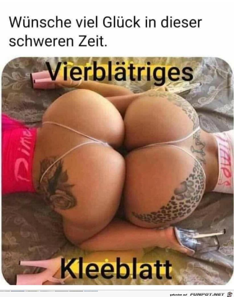 Kleeblatt