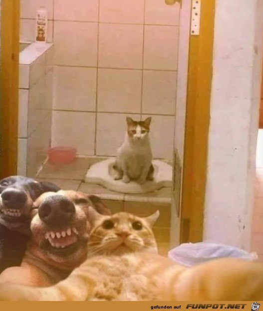 Lustiges Tier-Selfie