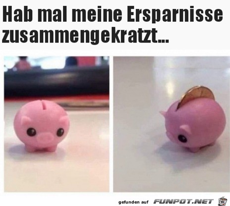 Meine Ersparnisse