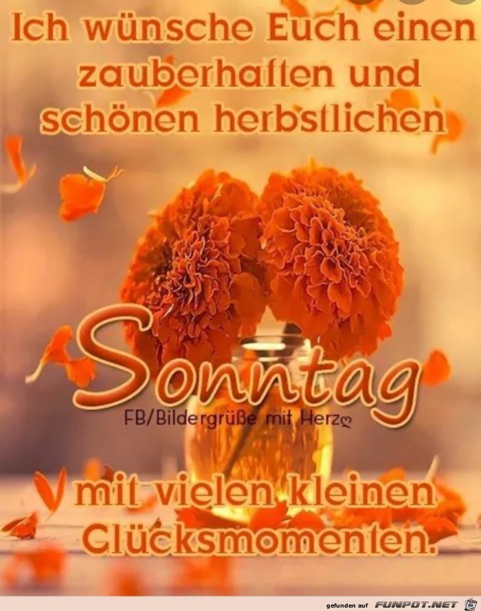 Sonntag