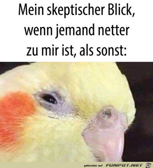 Mein skeptischer Blick