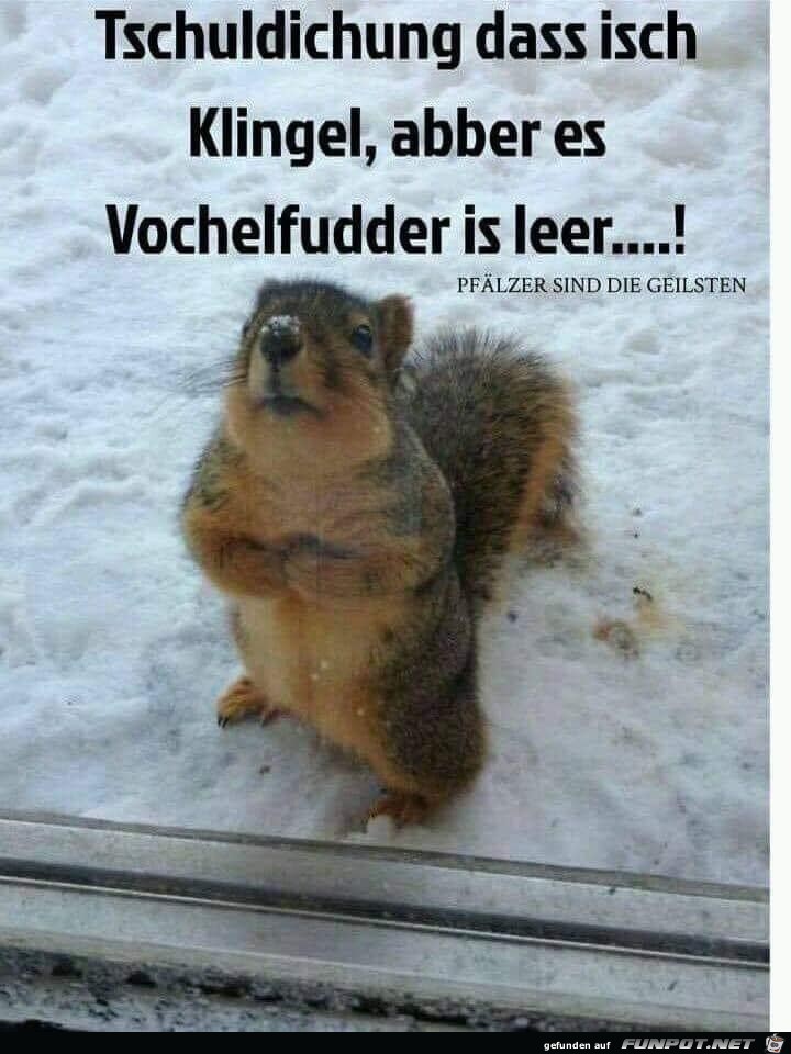 Vogelfutter