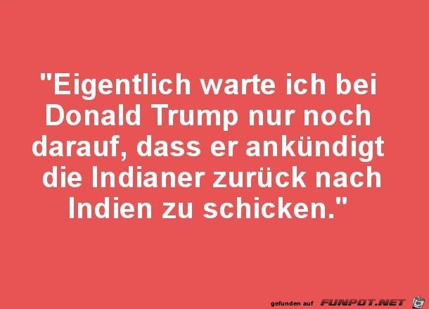 Das wre typisch Trump