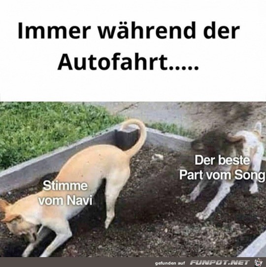 Immer beim Autofahren