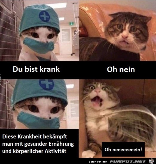 Du bist krank...