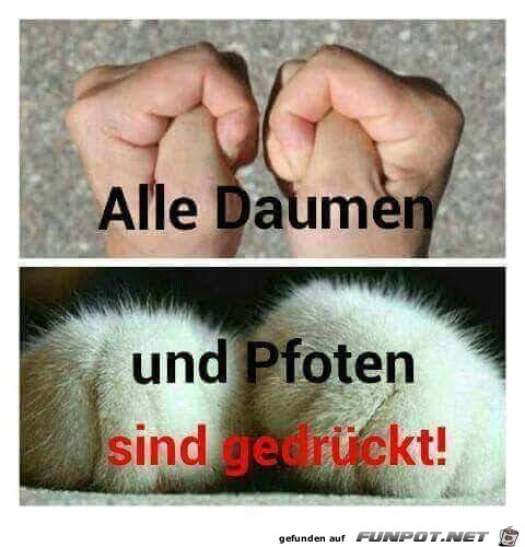 alle Daumen