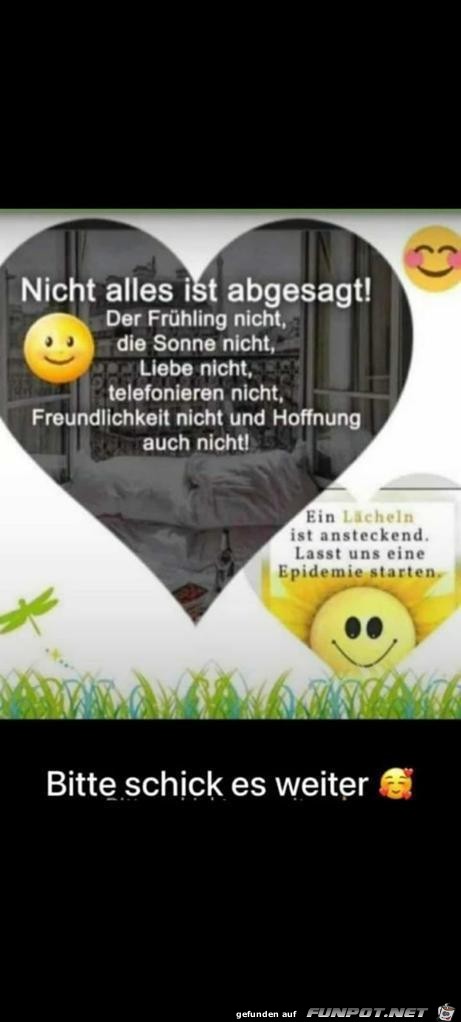 Nicht alles ist abgesagt