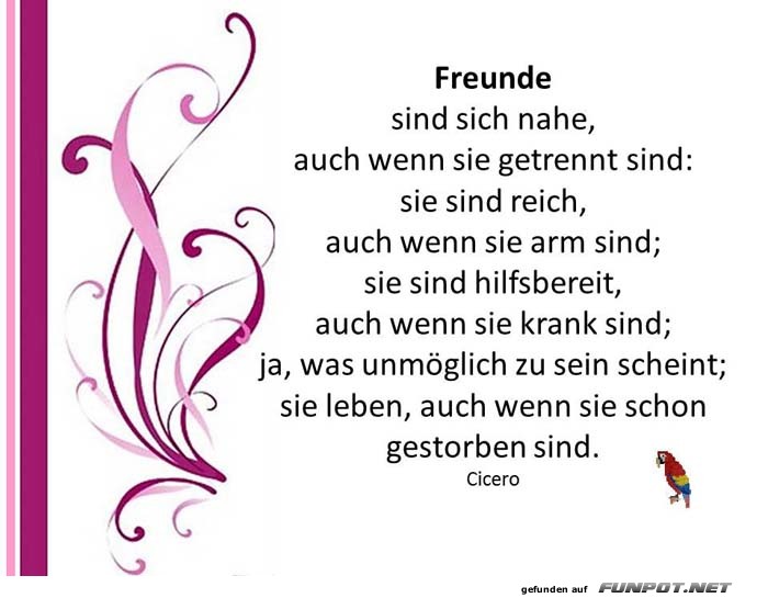 Freunde 1 Freunde 1