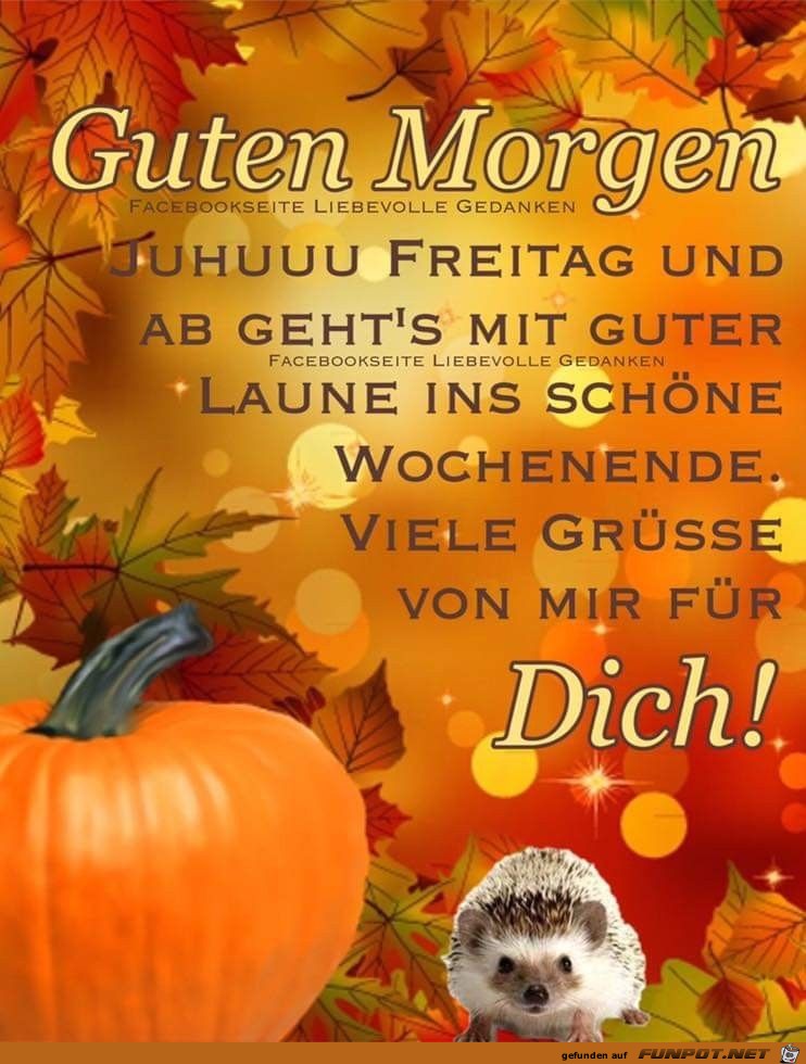 Guten Morgen