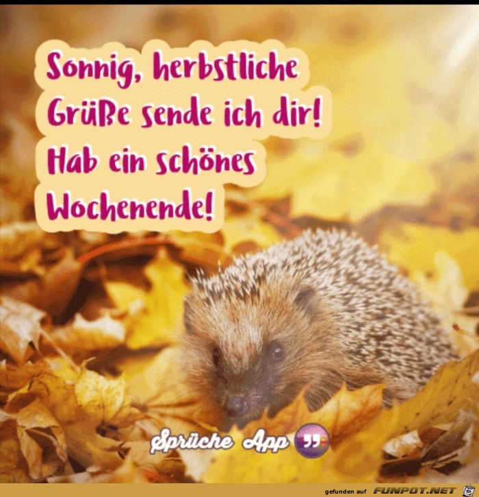 herbstliche Grue sse