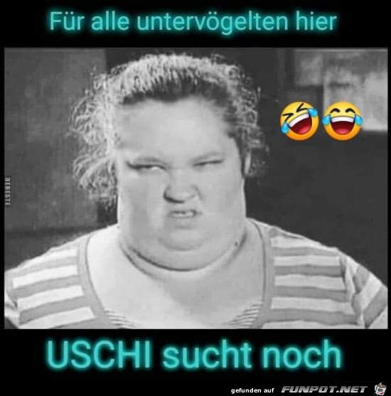 Uschi sucht