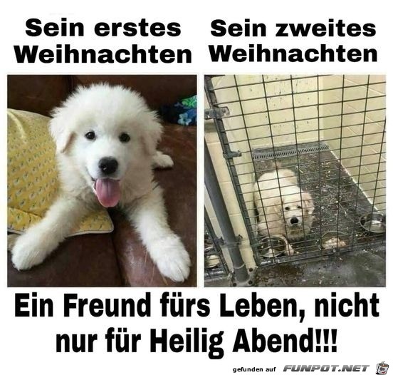 Hunde sind Freunde frs Leben