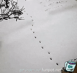 Katze tritt in eigene Fustapfen im Schnee