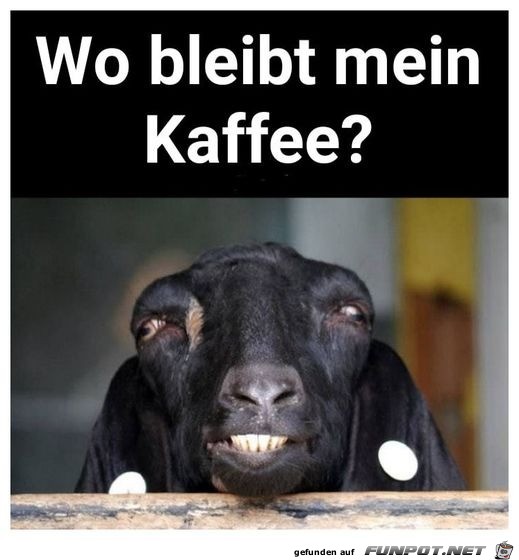 Wo bleibt mein Kaffee?