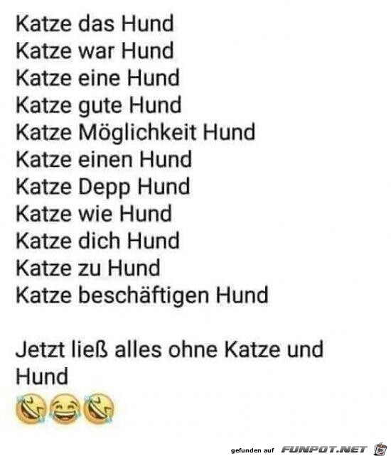 ohne Katze und ohne Hund