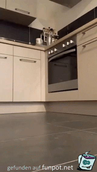 Katzenversteck in der Küche