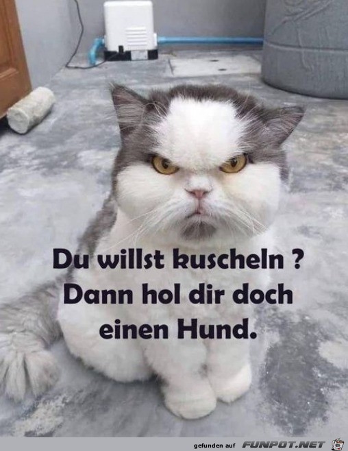 hol dir doch einen Hund