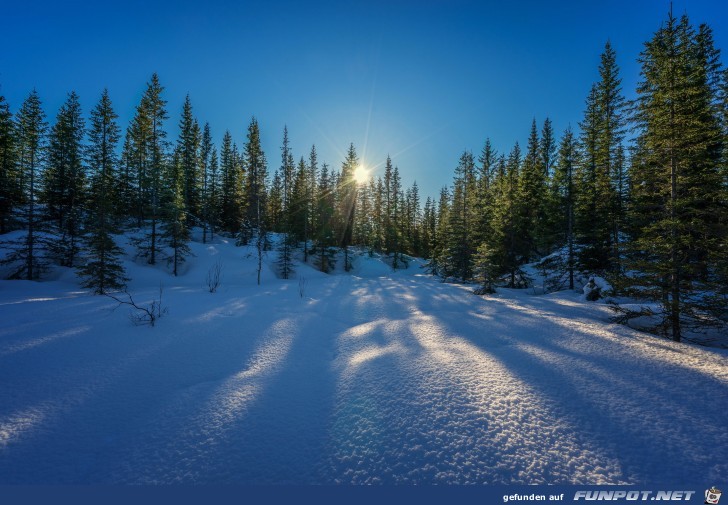 Winterlandschaft