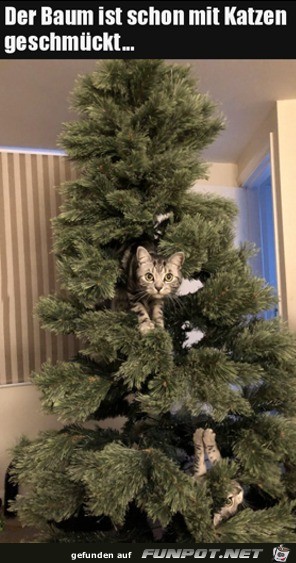 Baum mit Katzen geschmckt