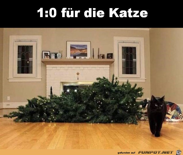 Die Katze hat gewonnen