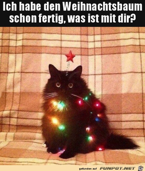 Tierischer Weihnachtsbaum