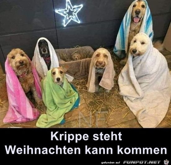 Tierische Krippe steht