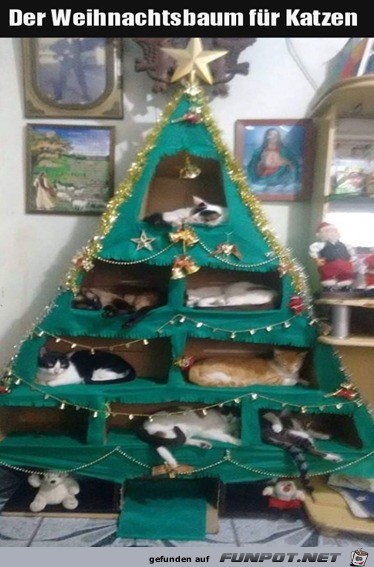 Weihnachtsbaum fr Katzen