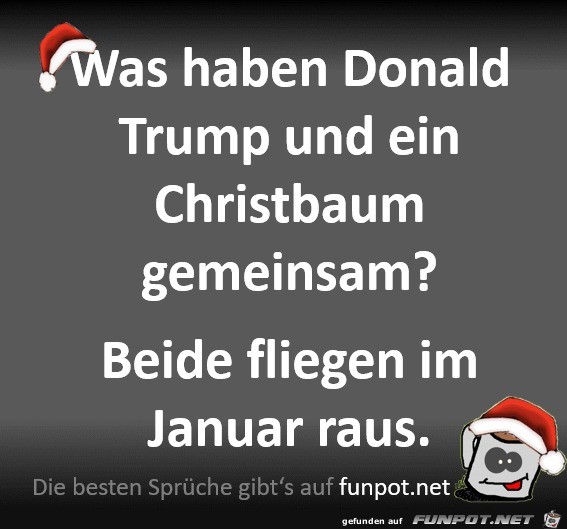 Trump und Christbume