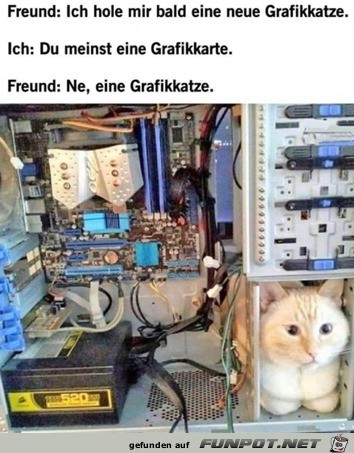 Neue Grafikkatze