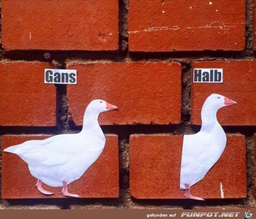 Gans Gans