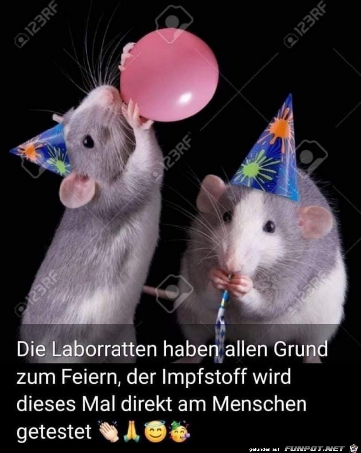 Die Laborratten...